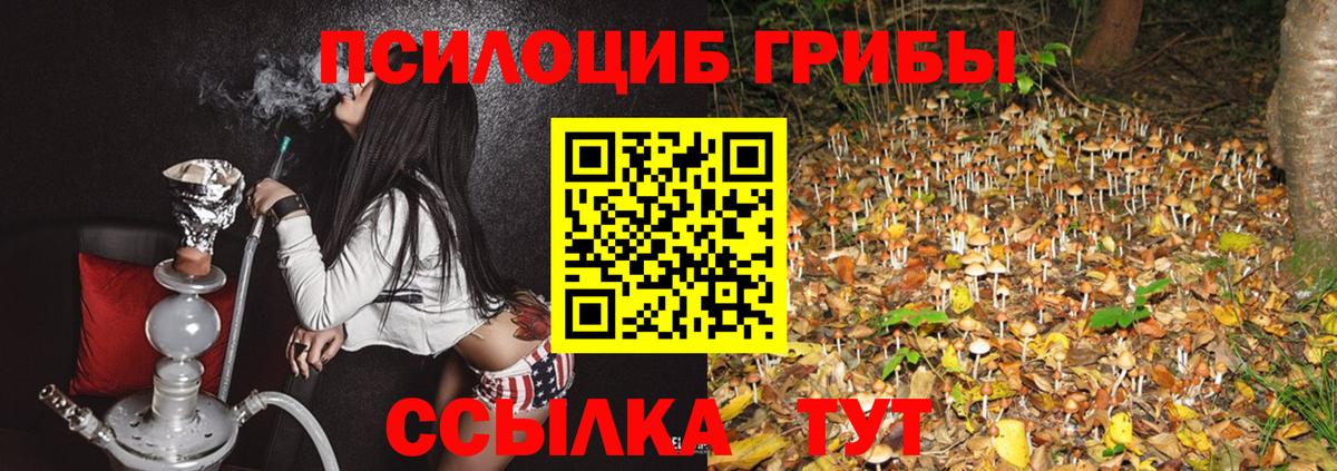 Псилоцибиновые грибы ЛСД  Вход с VPN  Выборг 
